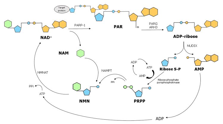 Figure 2 - 