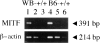 Figure 11.