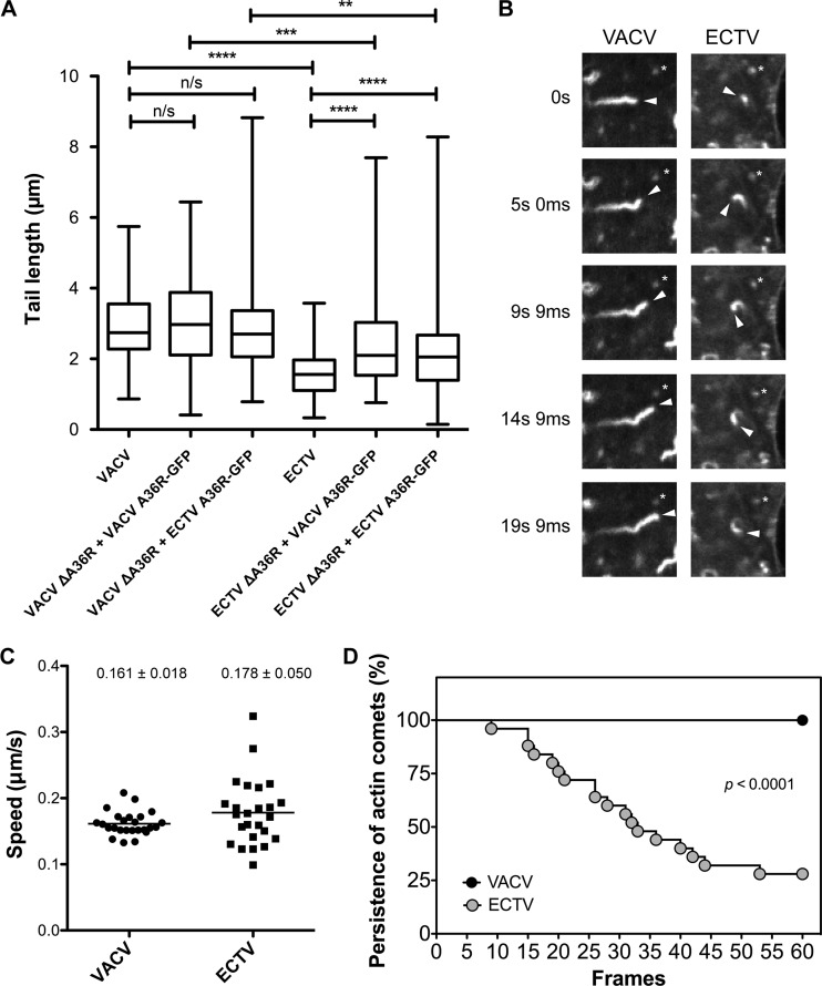 Fig 8