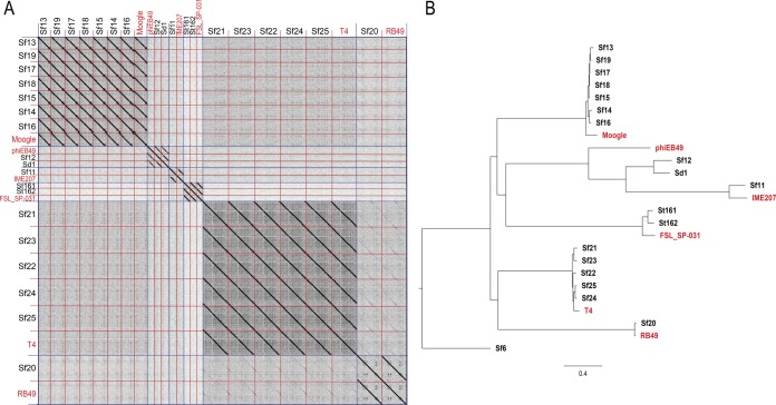 FIG 2