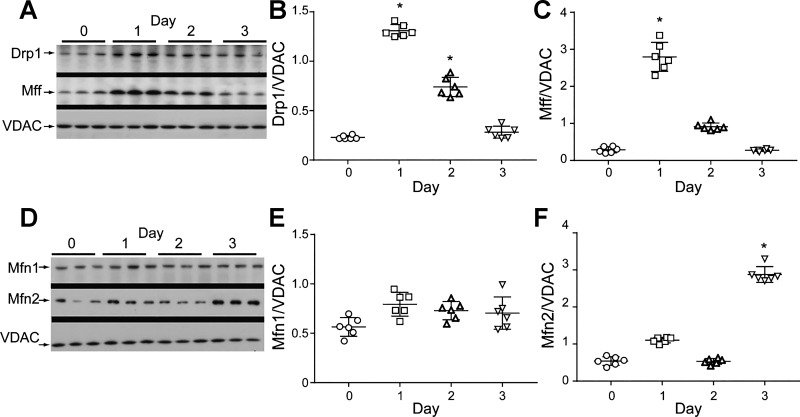 Fig. 6.