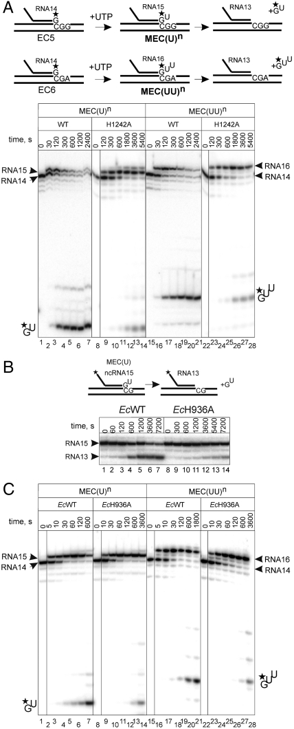 Fig. 4.