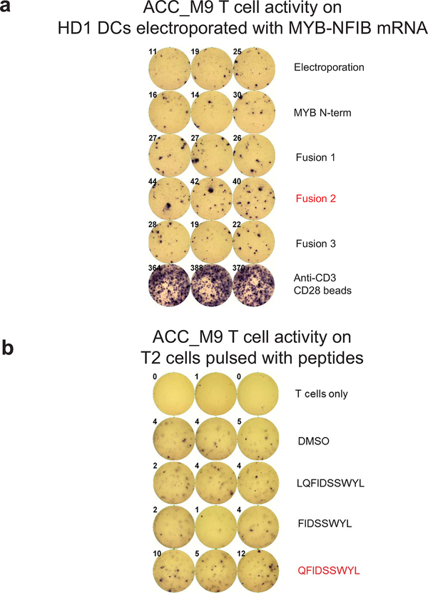 Extended Data Fig. 7