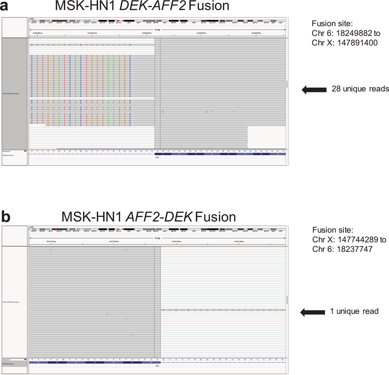 Extended Data Fig. 1