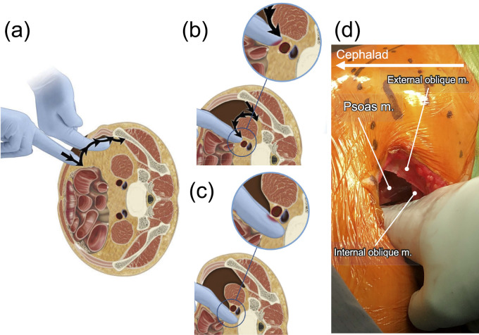 Figure 3.