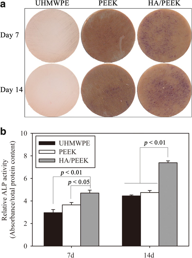 Fig. 9