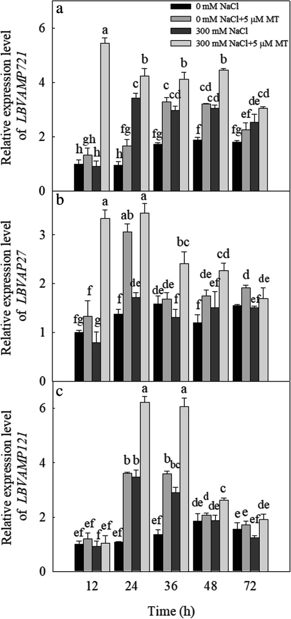 Fig. 7