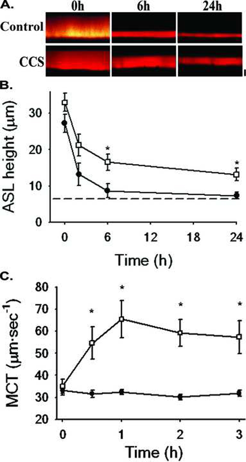 Fig. 5