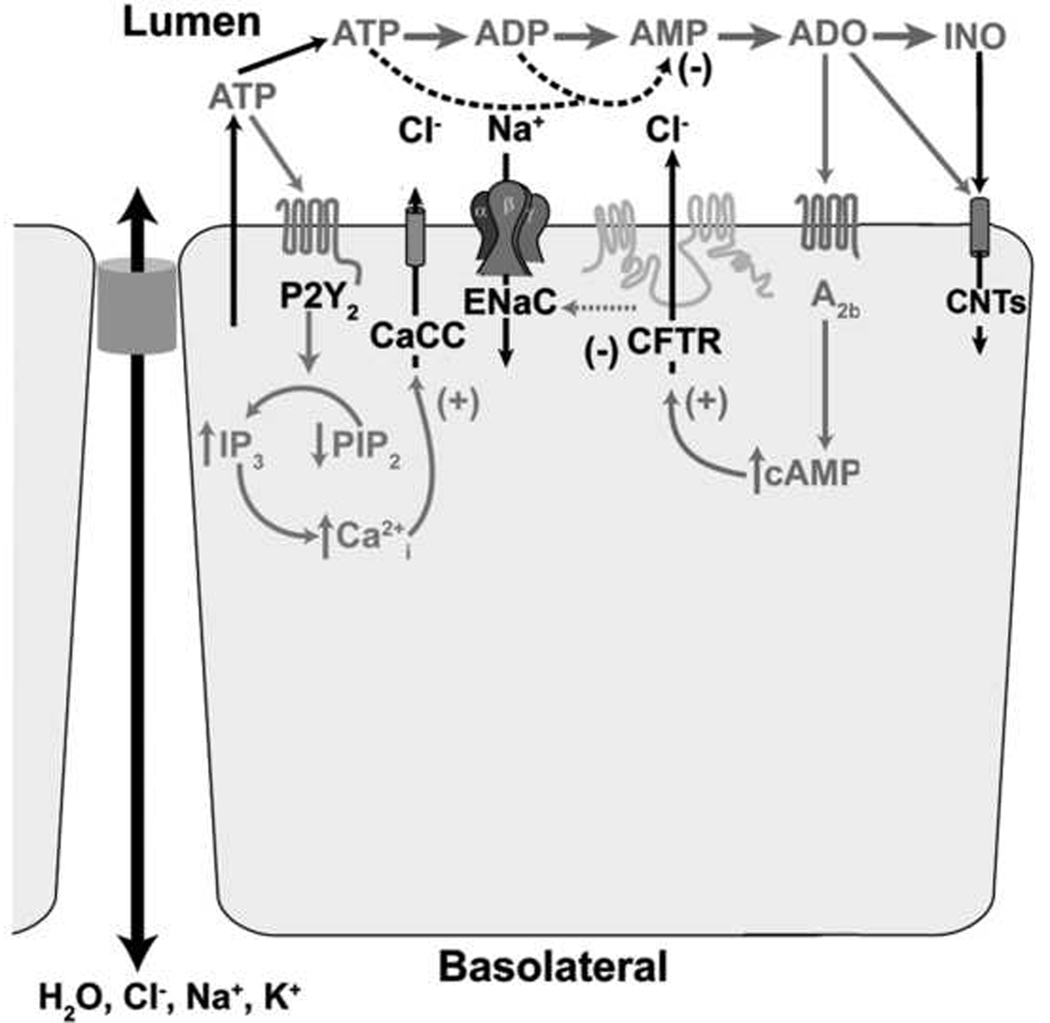 Fig. 2