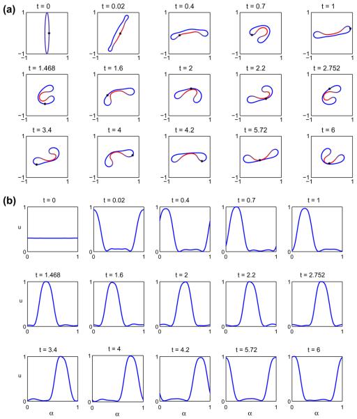 Fig. 11