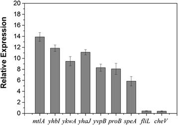 Figure 5