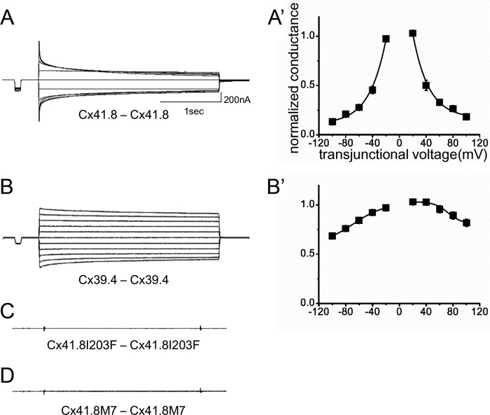 FIGURE 3.