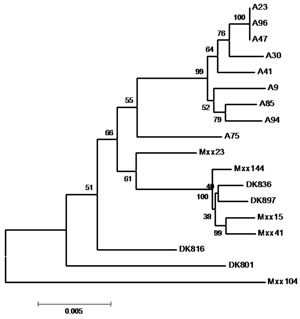 Figure 1