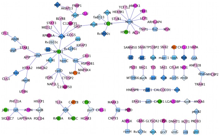 Figure 6