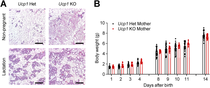 Figure 4