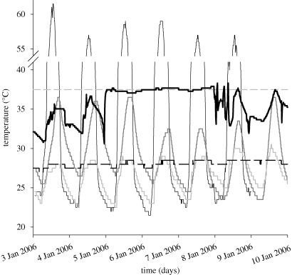 Figure 1.