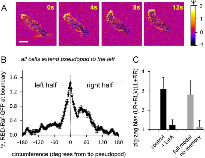 FIGURE 5: