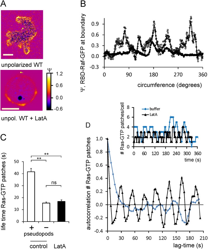 FIGURE 4: