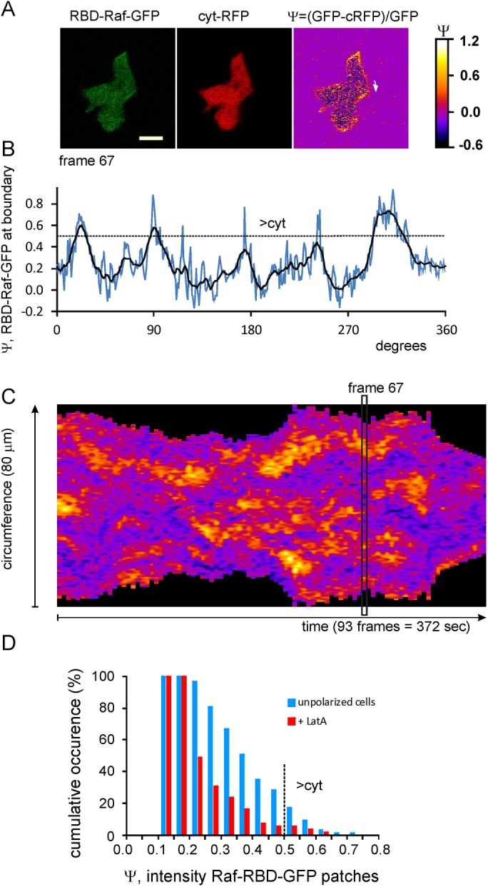 FIGURE 1: