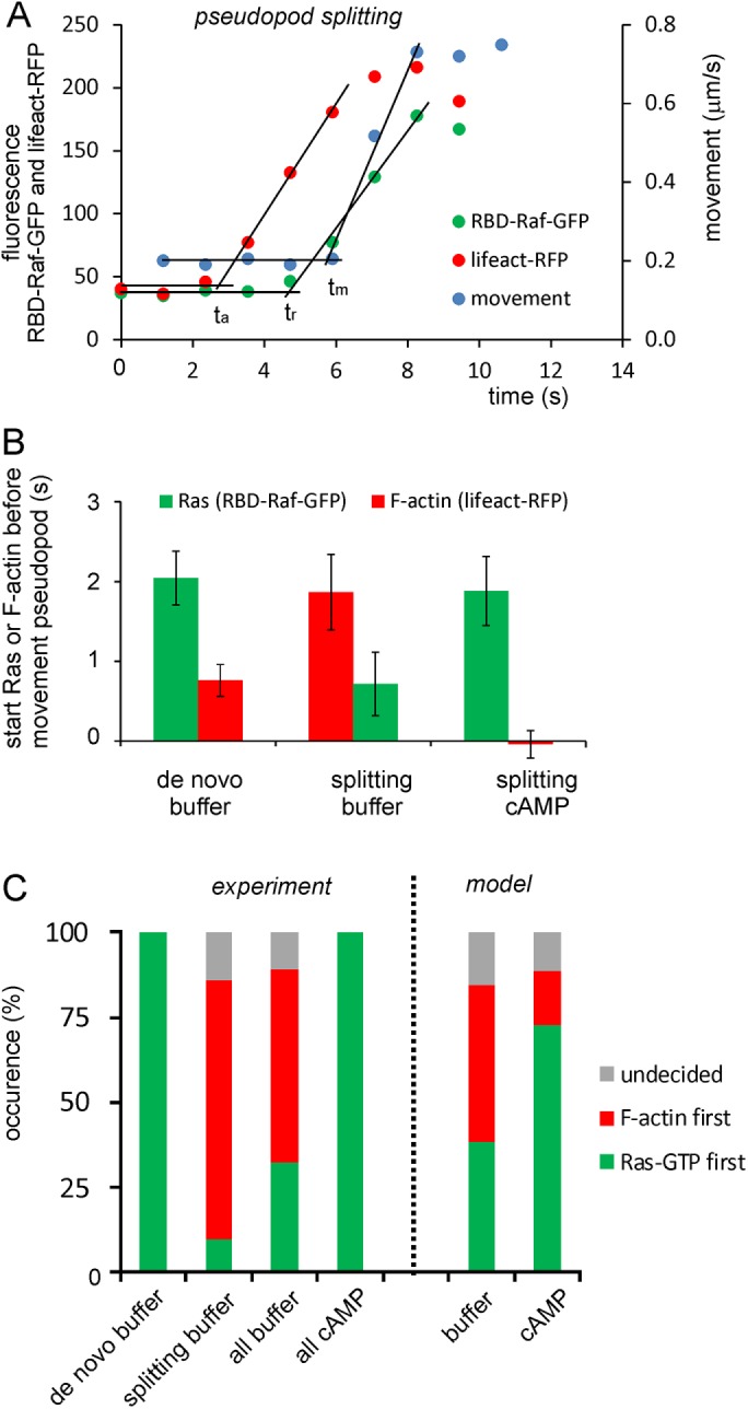 FIGURE 6: