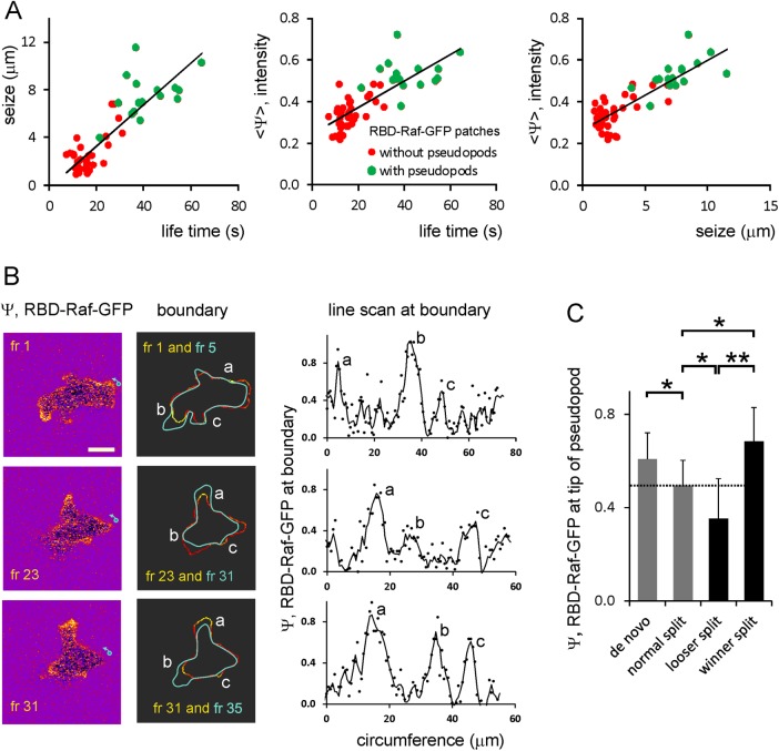 FIGURE 3: