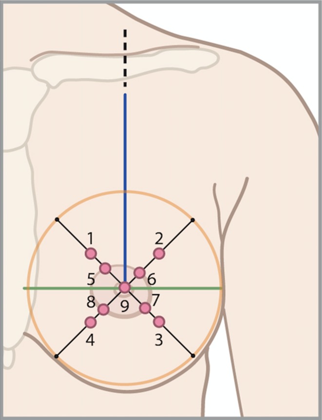 Fig. 1