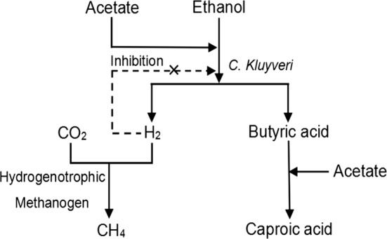 Fig. 7