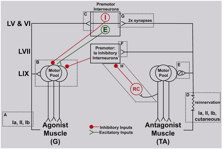 Figure10.