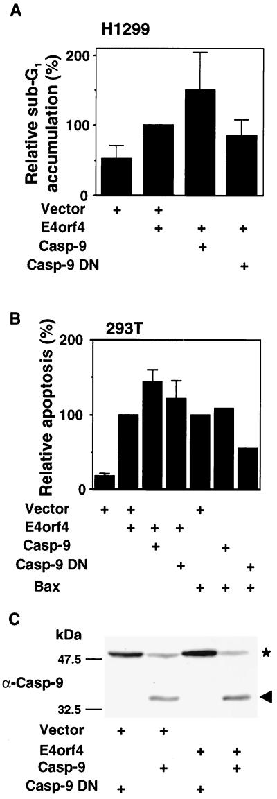 FIG. 6