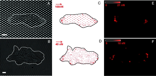 Fig. 4.