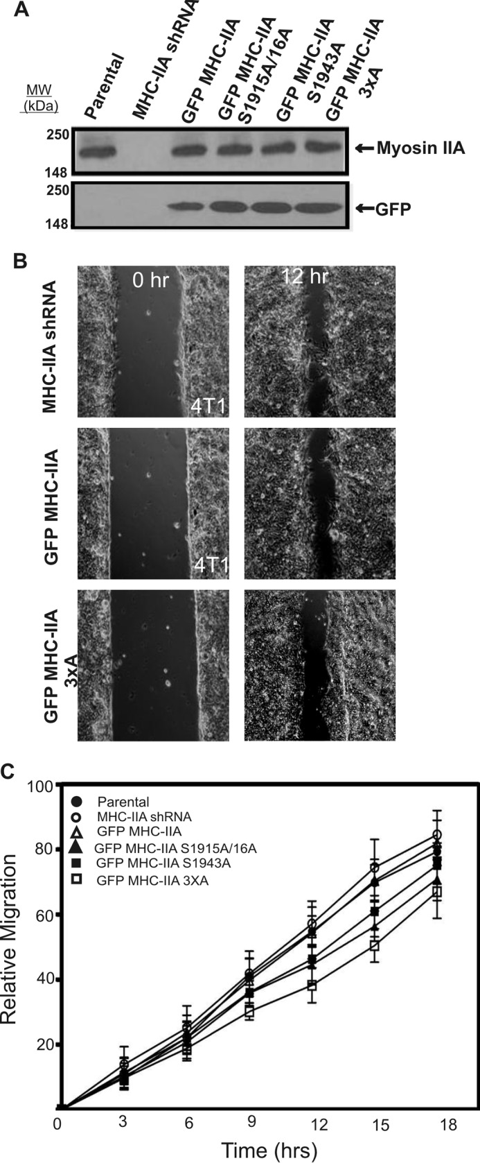 FIGURE 4.