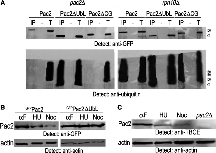 Fig. 6