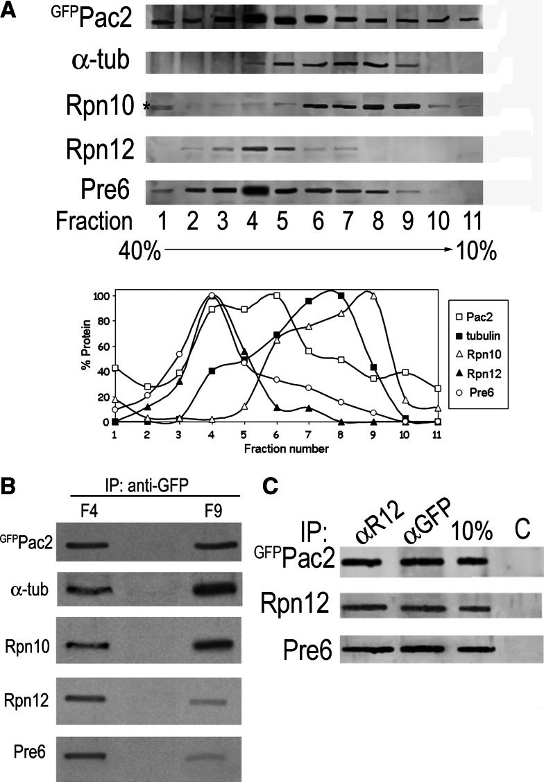 Fig. 7