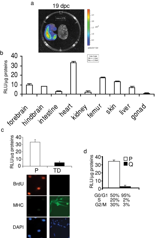 FIGURE 4: