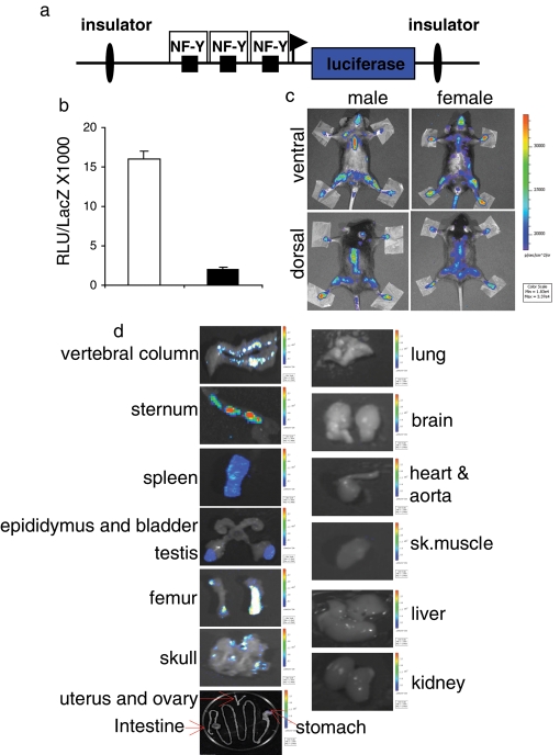 FIGURE 1: