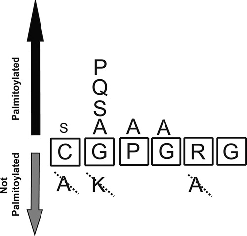 FIGURE 8.