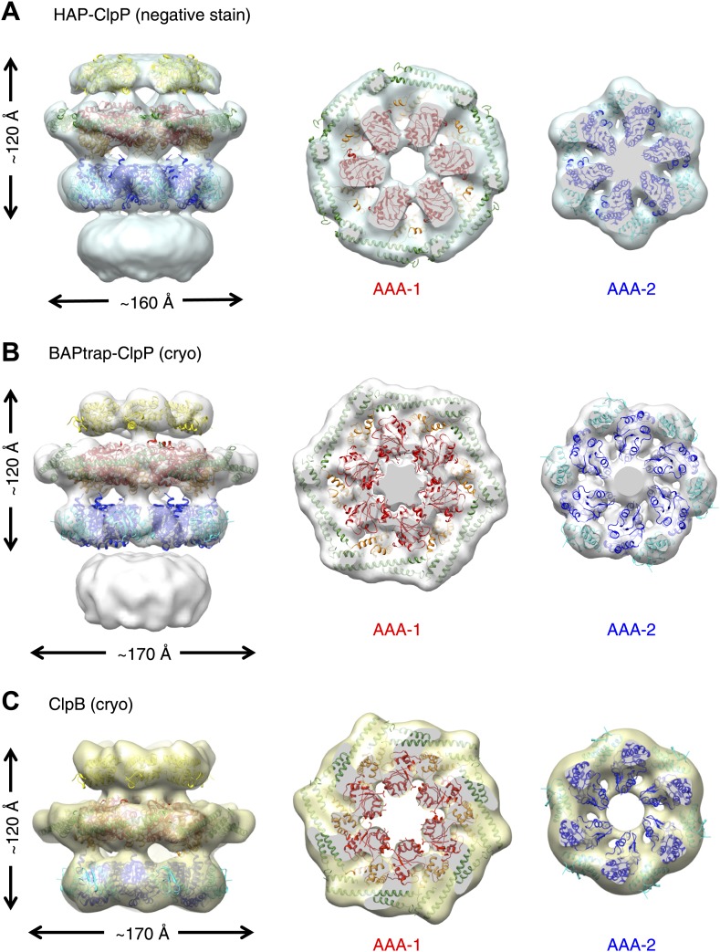 Figure 2.