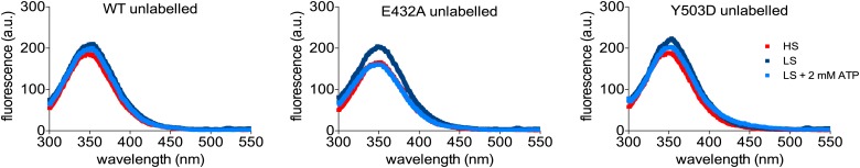 Figure 4—figure supplement 2.