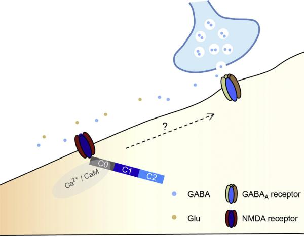 Fig. 2