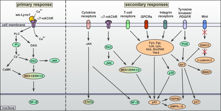 Fig 8