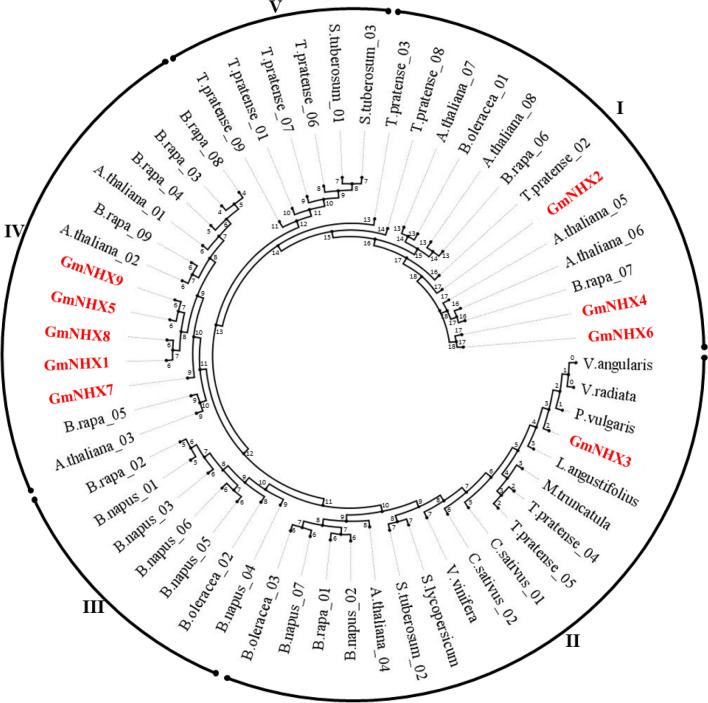 Fig. 1