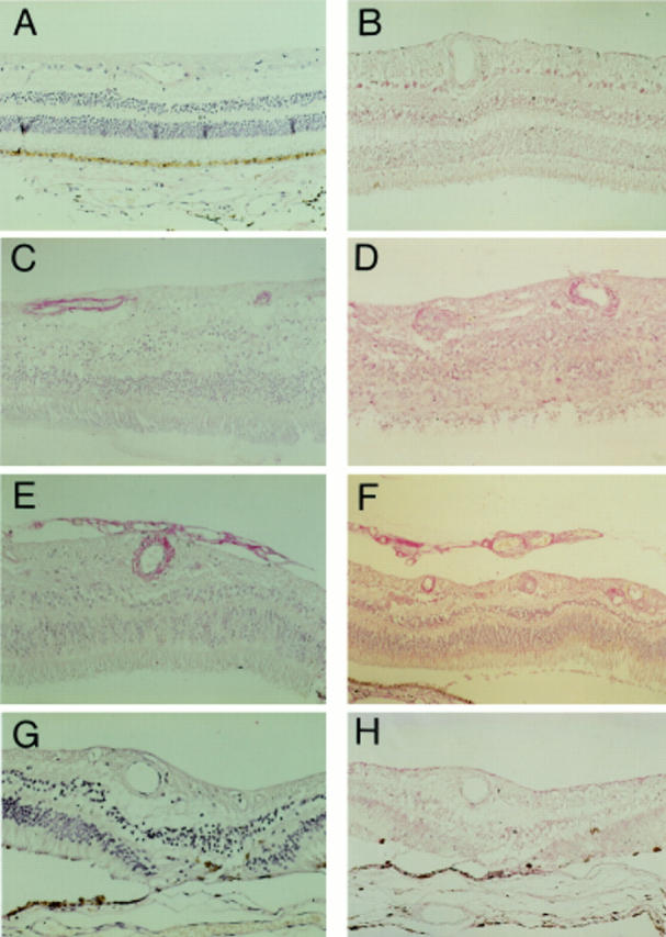 Figure 1  