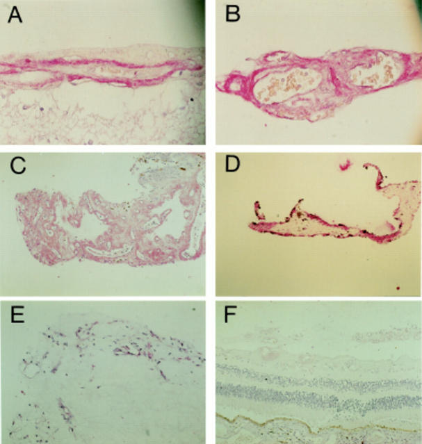 Figure 2  