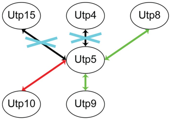 Figure 2.