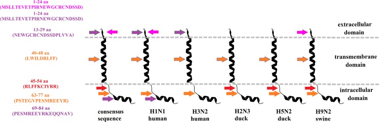 Fig 13