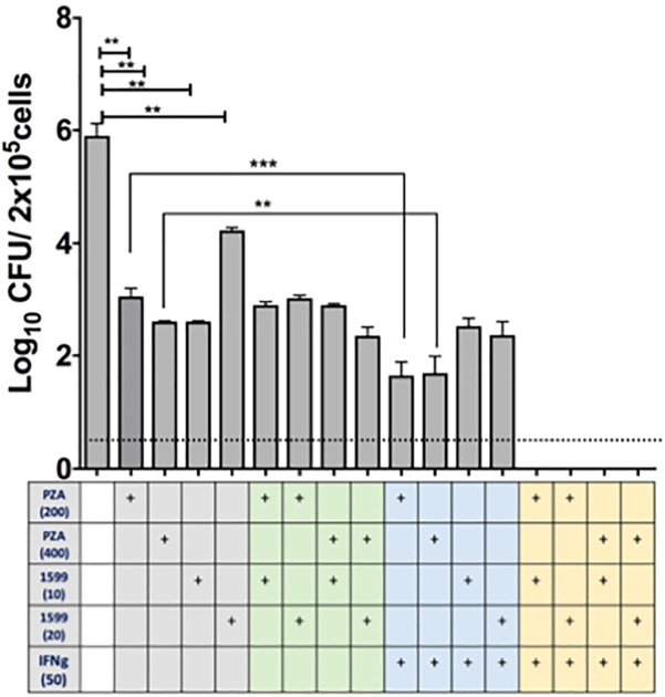 FIGURE 4