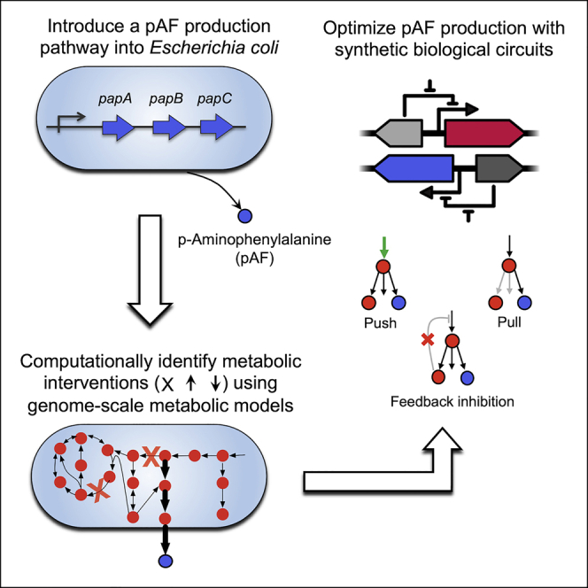 graphic file with name fx1.jpg