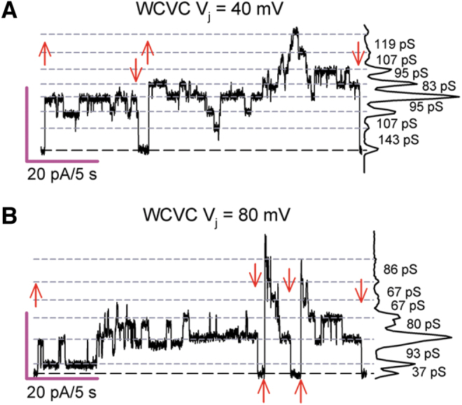 FIG. 3.