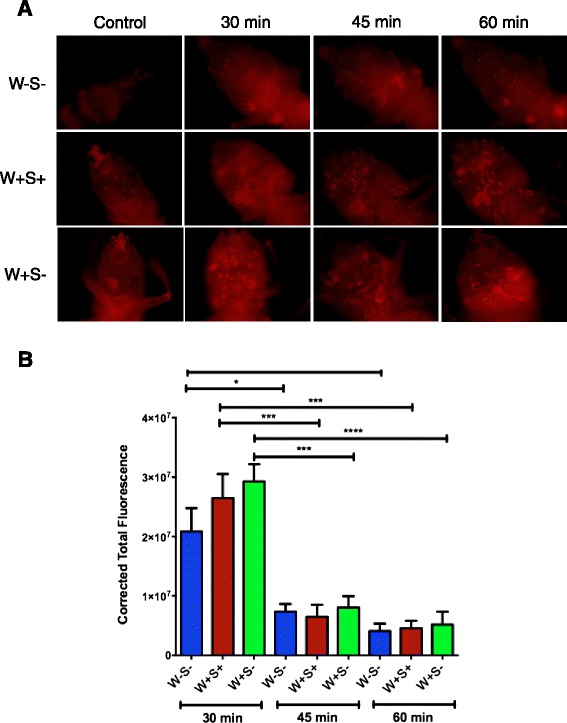 Fig. 6