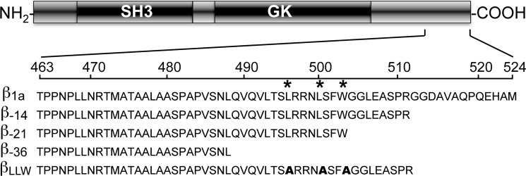 FIGURE 1.